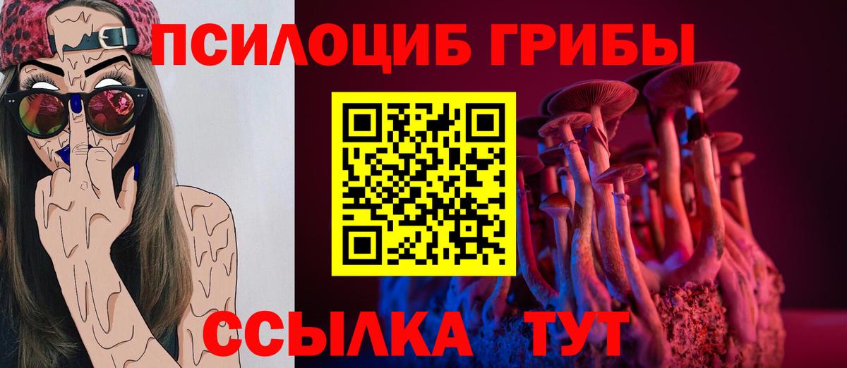 Галлюциногенные грибы Magic Shrooms  Вход с VPN  Северобайкальск 